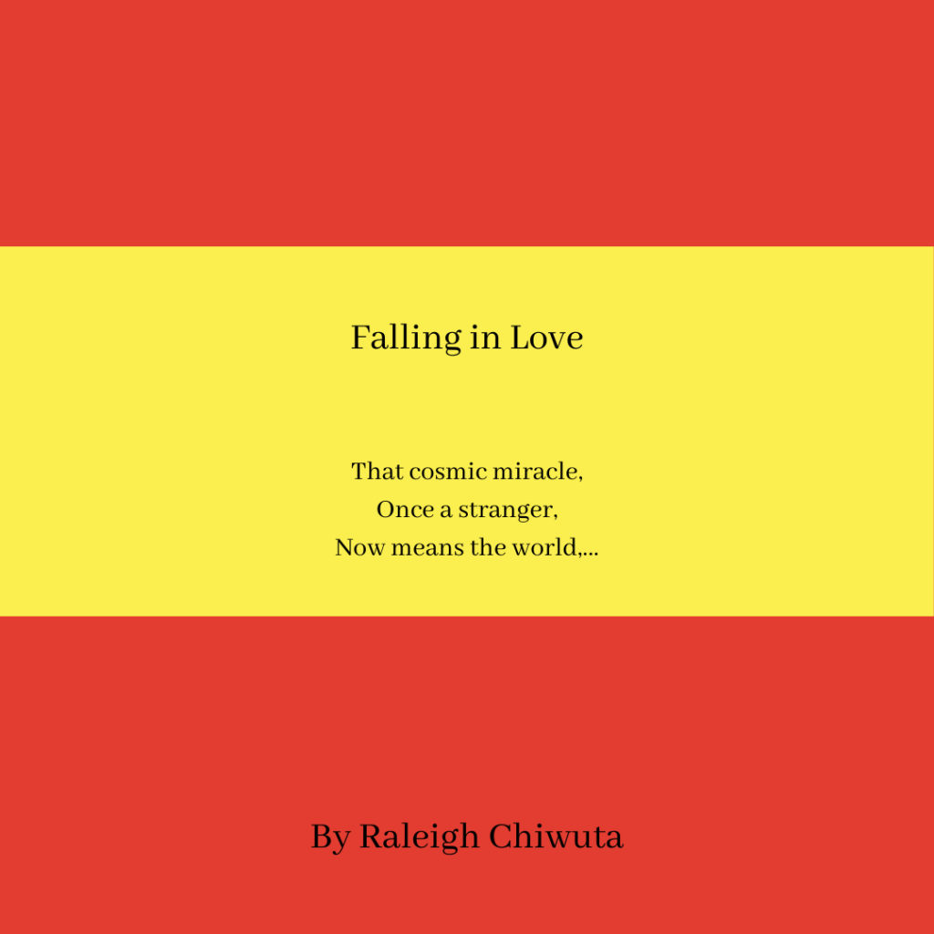 Exert of poetry - Exhibition of Poetry by Raleigh Chiwuta at Amanartis Gallery at the House of Amma